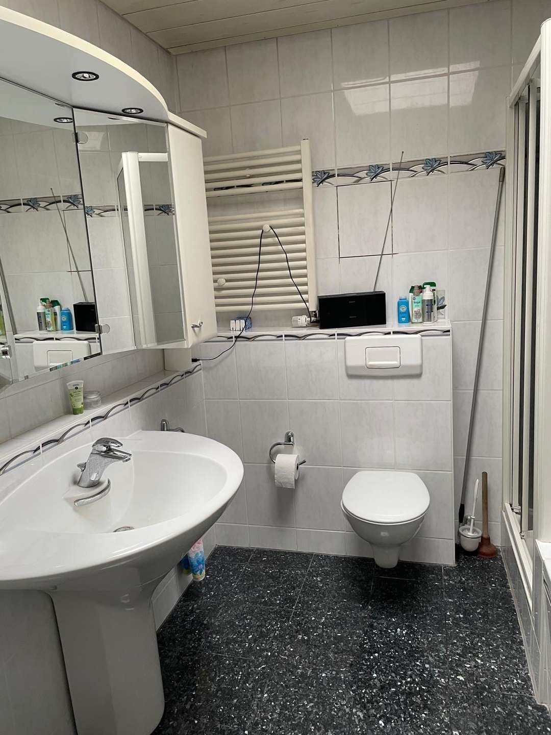 Badezimmer Hauptwohnung
