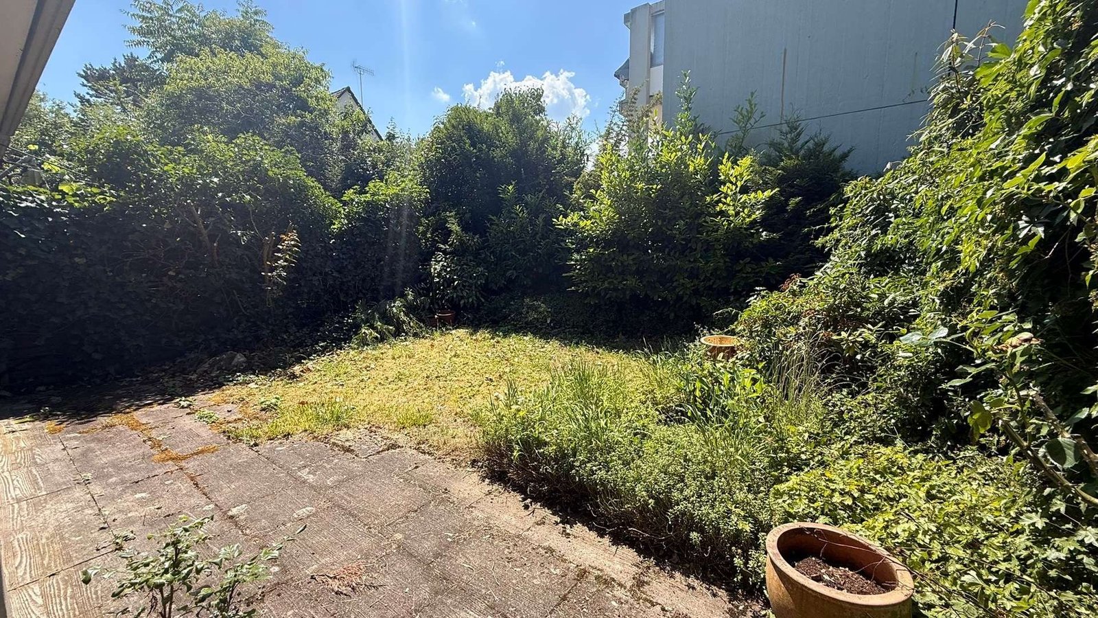 Blick in den Garten