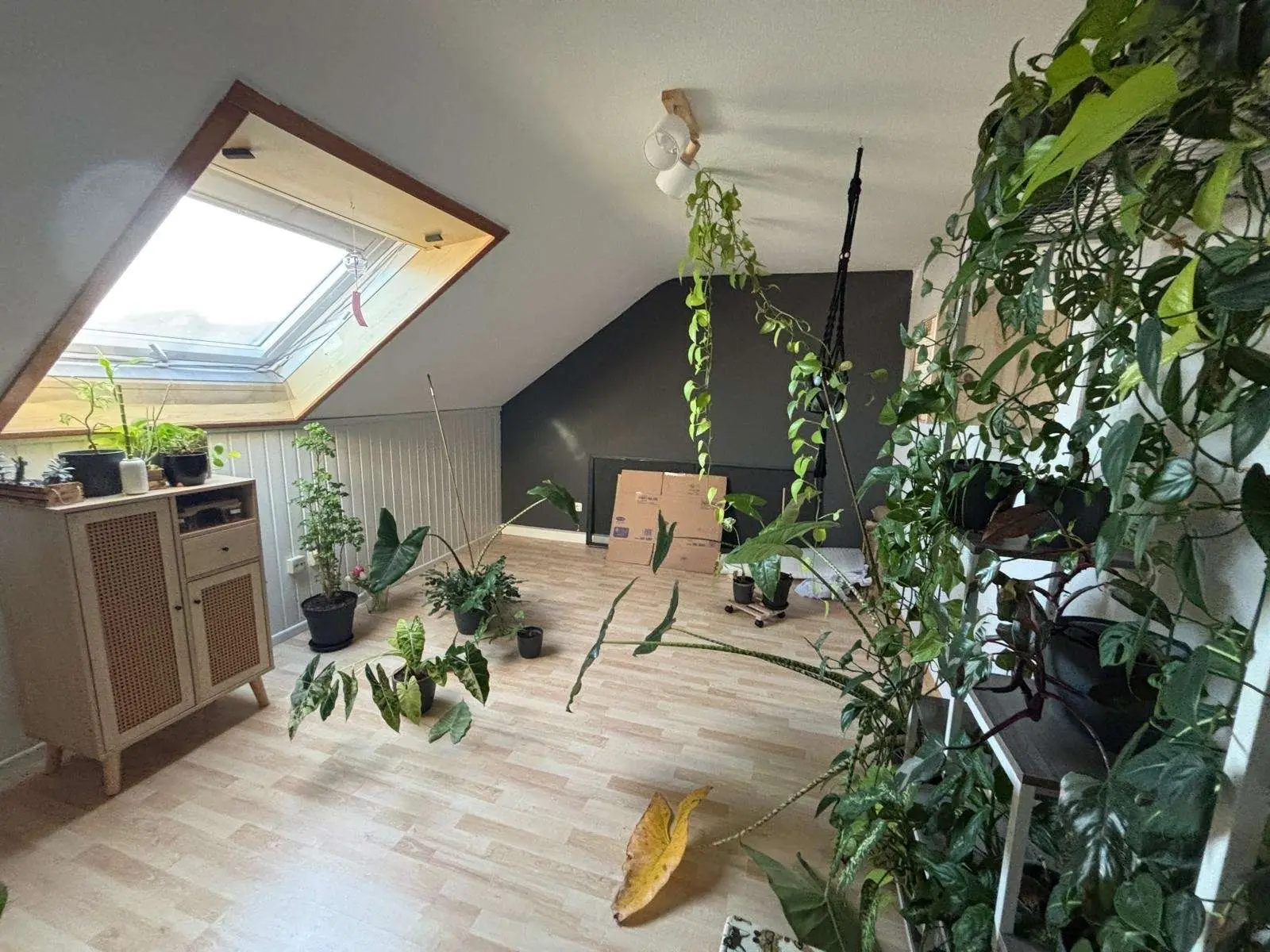 Kinderzimmer / Büro